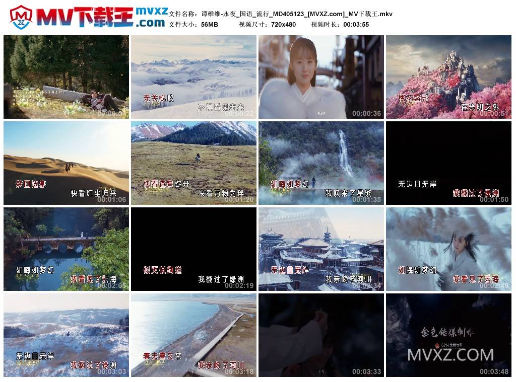 谭维维-永夜_国语_流行_MD405123